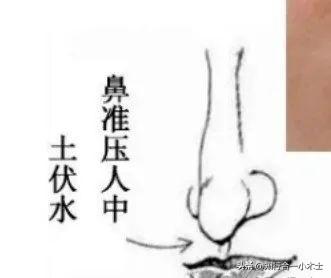 相学知识82——不利财运的八种“鼻相”