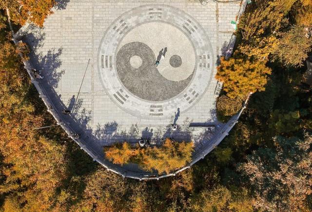 《周易》卜筮讲座（一）