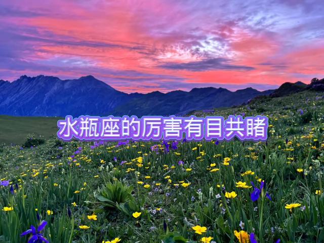 水瓶座的厉害有目共睹